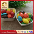 Export High Quality Various Shape Chocolate Beans